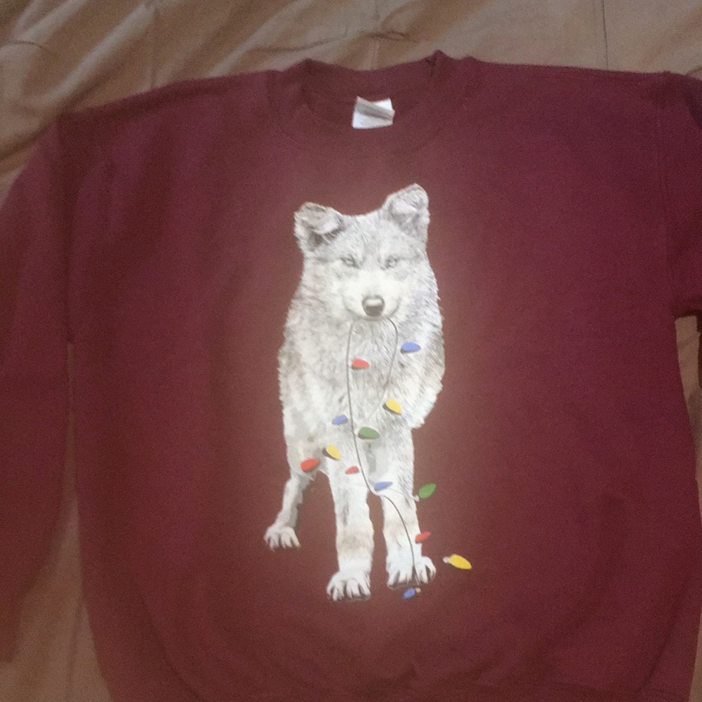 Holiday/Winter Youth Sweatshirt Size M
